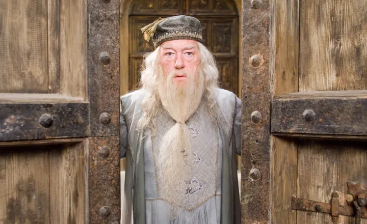 Albus Dumbledore
				
